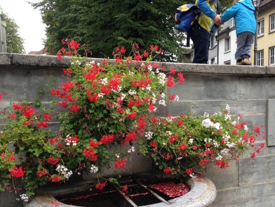 Zur Erinnerung an die Bewahrung von Radolfzell