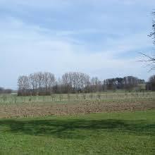 Hepbacher - Leimbacher Ried