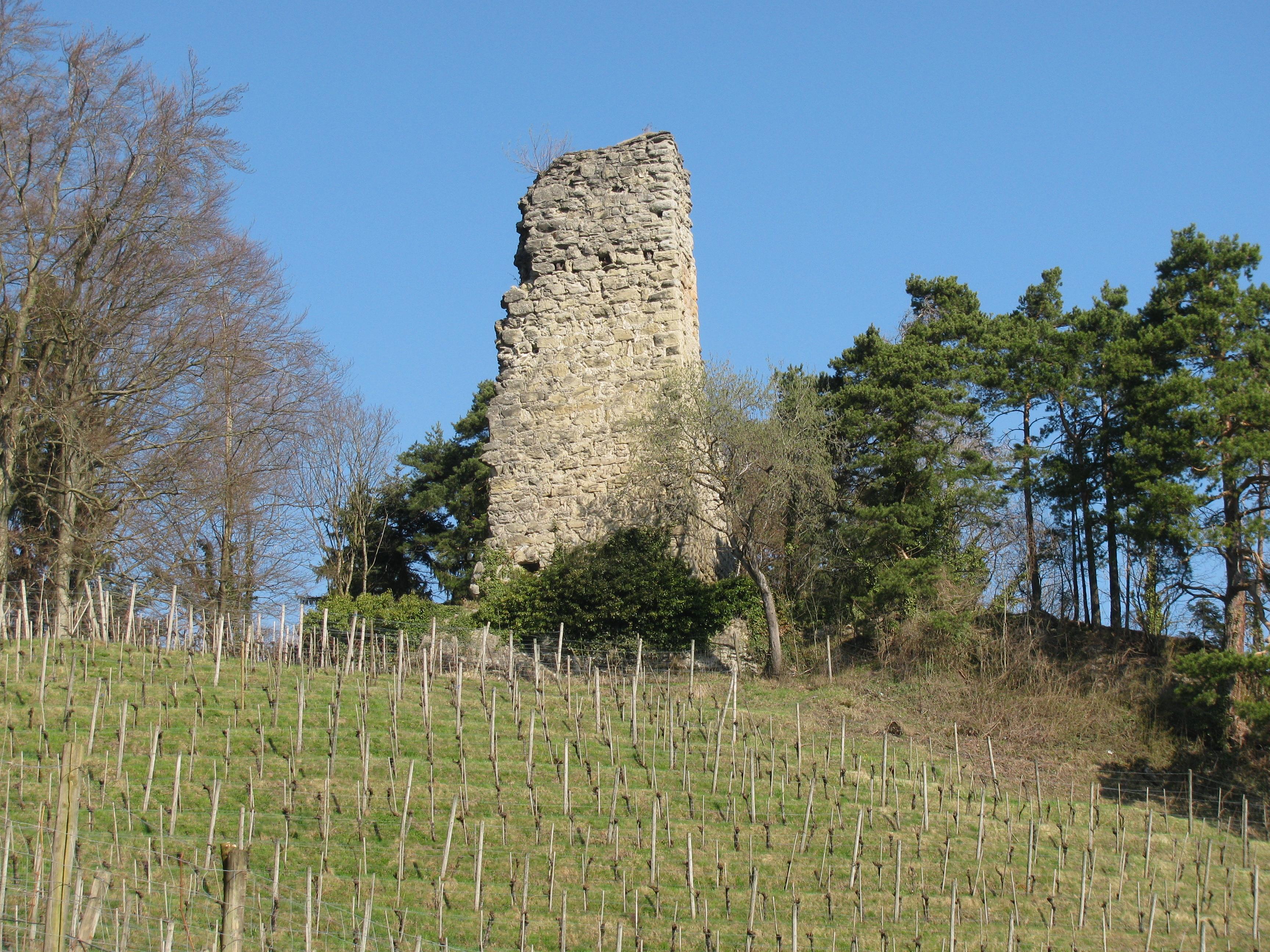 Burgruine Grimmenstein