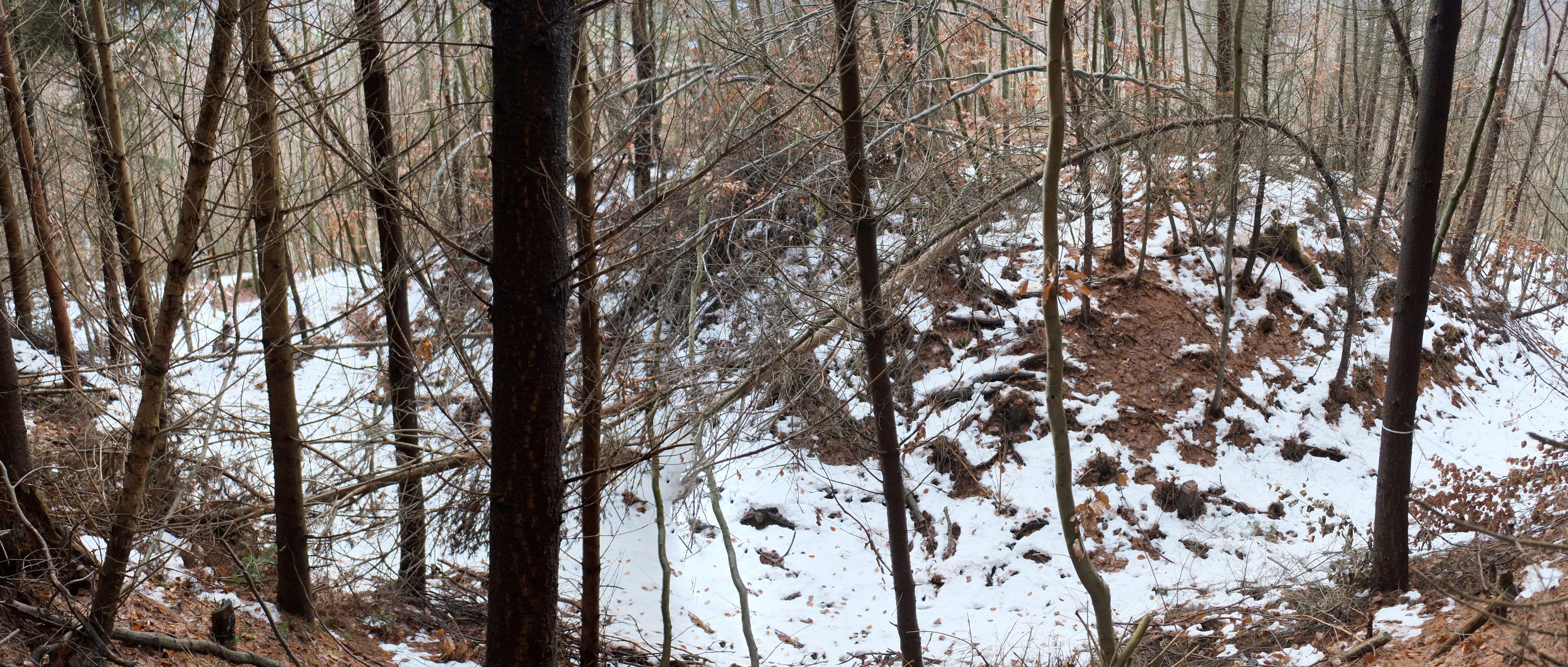 Burgstall Hohenlinden