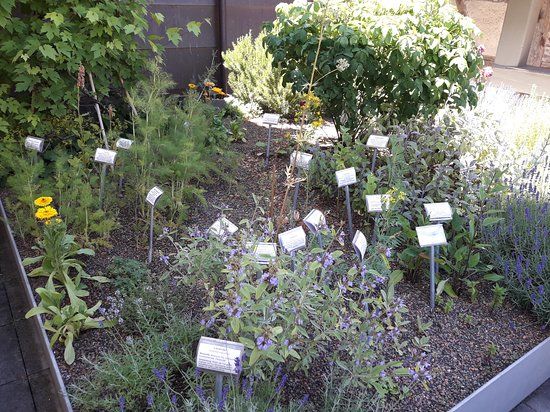 Stadtmuseum Radolfzell