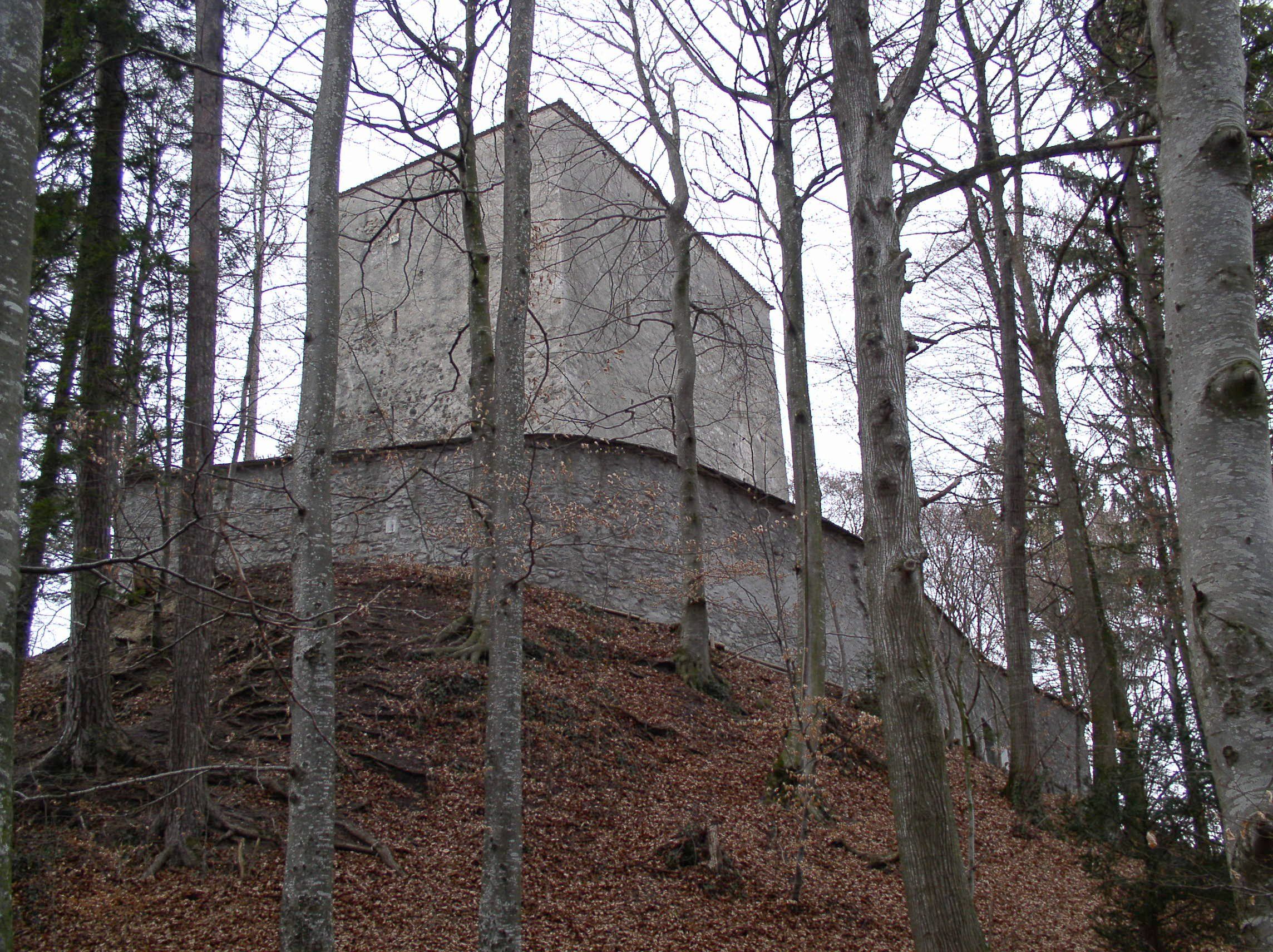 Ruine Strättligen