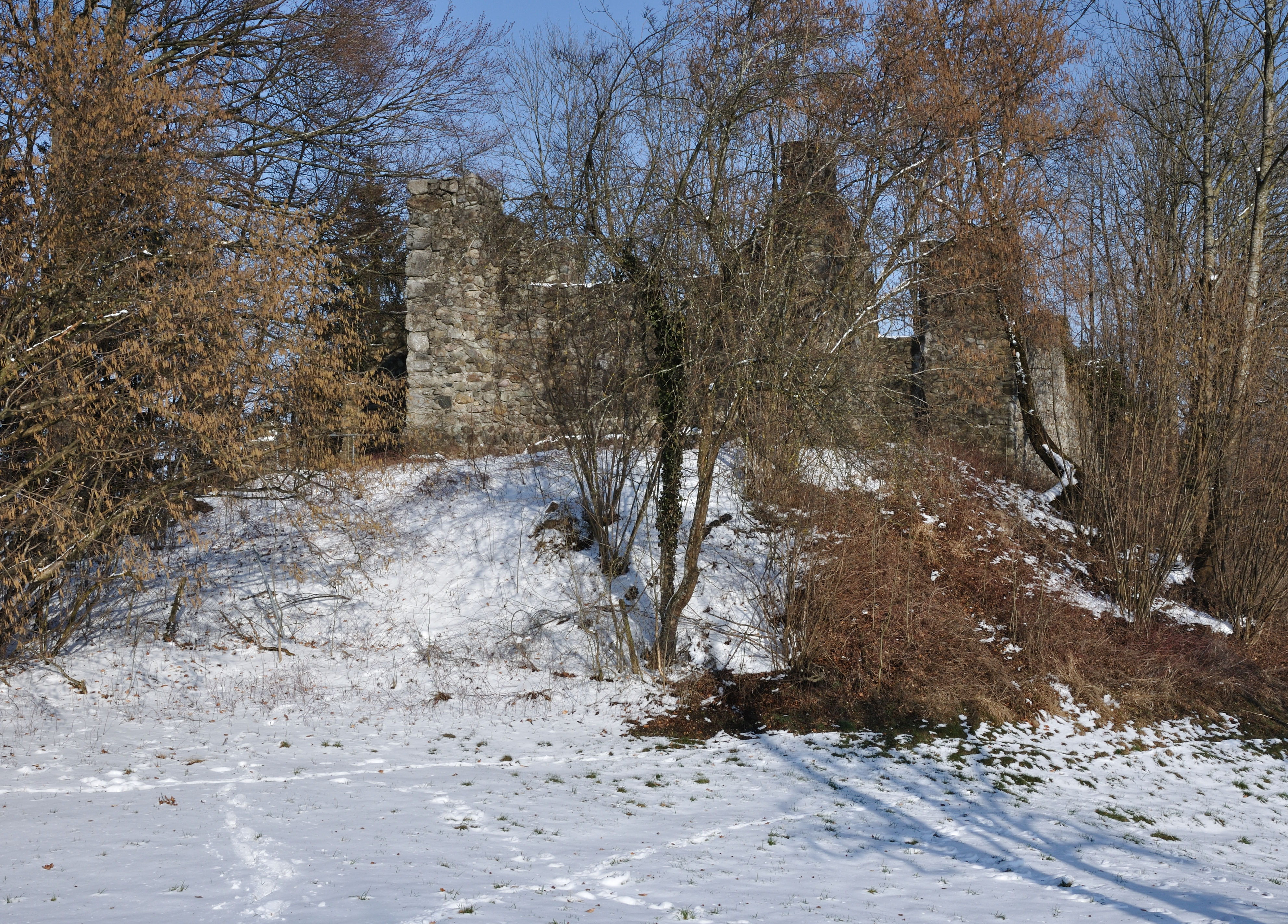 Ruine Altsummerau